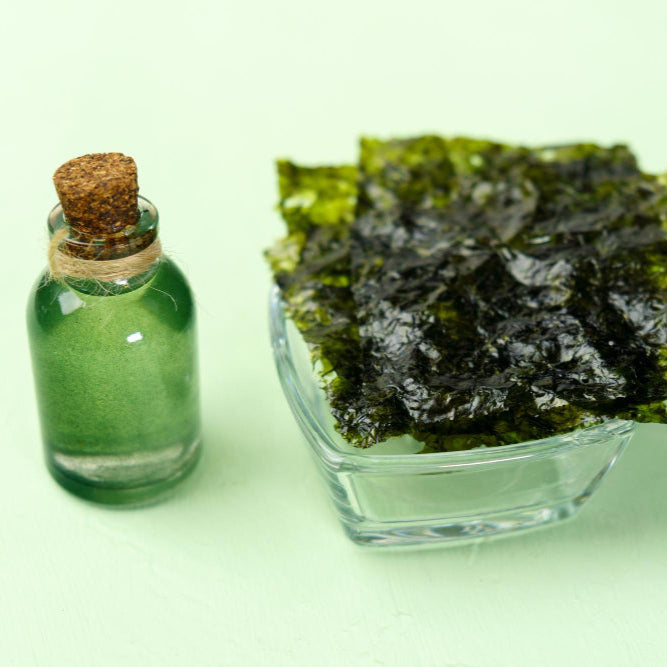 Seaweed Extract